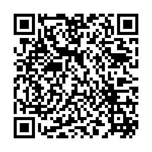 1729839133661642.png 图片1.png